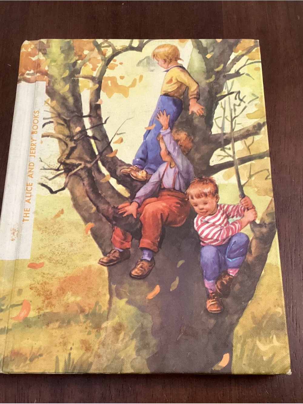 Kids Vintage Book 1966